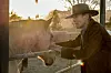 Clint Eastwood režirao je, producirao i glumio u filmu Cry Macho 2021.