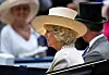 Camilla je 2007., kad je još bila vojvotkinja od Cornwalla, izabrala djelo Rachel Trevor-Morgan: poznata je po svojim slamnatim šeširima s diskretnim ukrasima