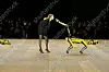 Smion glamur i robotski psi za tehnološko proljeće