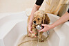 iStock-875811092