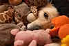 Golden retriever completely covered by pet toys
