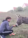 Lovre s magarcem u rodnom mjestu
