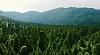 Nacionalni park Risnjak