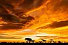 Zalazak sunca u Makgadikgadiju