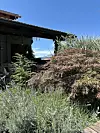 Prostrano dvorište ispred kuće