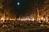Gastro užici od sjevera do juga: Ovo su tri food festivala koje vrijedi posjetiti