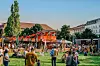 ASIAN FOOD FEST