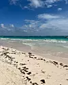 Čarobna plaža s bijelim pijeskom