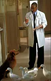 Scena iz filma 'Dr Dolittle 2'