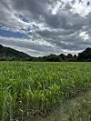Putem nije slušao glazbu, već bio sam sa svojim mislima