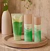Tatcha Hinoki luksuzni set za njegu tijelu