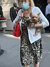 Susanna Dorothy Curry pobrinula se za psića odmah nakon Ivanine smrti