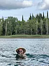 PRIVATNI ALBUM