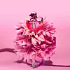 Nina Ricci Nina Illusion spoj narančina cvijeta i maline, EdP 50 ml, 103 €