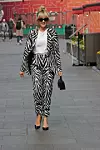 Ashley Roberts u zebrastom izdanju