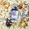 Dolce & Gabbana Dolce Blue Jasmine, P EdP 50 ml, 95 €