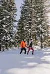 Hodanje u krpljama po dubokom snijegu omiljena je aktivnost (ne)skijaša