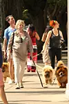 Martha Stewart ima dva chow chowa i dva francuska buldoga.