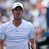 Andy Murray
