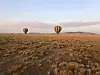 Nacionalni park Serengeti u Tanzaniji