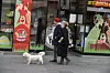 Kako žive blizu centra, često upravo Ilicom šeću psića