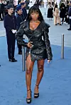 Pjevačica Normani