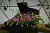 55. Floraart na zagrebačkom Bundeku