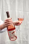 promo