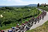 Kroz sam grad i njegovu vinogradima ispunjenu okolicu vozi se utrka Giro d‘Italia