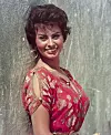 Sophia Loren,