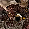 GR8 Coffee Festival