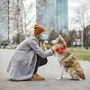 iStock-1214566987