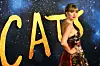 Taylor Swift - nadmoćna autorica srednje generacije