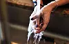 Closeup of an unrecognizable woman washing her hands under a tap at home during the day