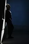 BILJANA BLIVAJS CROPIX