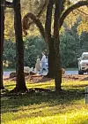 Par je uhvaćen u šetnji s njihovim zajedničkim psom Tarzanom.
