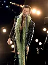 Harry Styles je također Vodenjak, rođen 1. veljače 1994.