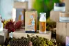 Uchka Serum