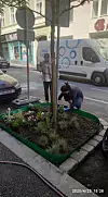 Martina Živković inicirala je sadnju cvijeća, a pomogao joj je i njezin susjed. Vlasnica slastičarnice 'Torte i to' željela je svojim sugrađanima pokloniti nešto lijepo.