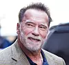 Arnold Schwarzenegger zadržan je na carini
