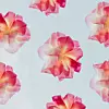 Fotografija: Unsplash