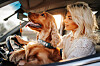 iStock-1138607143