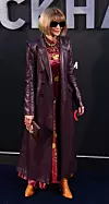Anna Wintour nije propustila premijeru