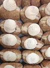 Bread Club nudi krafne punjene domaćim pekmezom i kremom od mascarponea