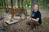 Tiger Priya with Carole Baskin founder of Big Cats Rescue that give sanctuary 18 March 2020 in Tampa, Florida, USA, to big cats once held captive and now no longer able to survive in the wild including Tigers, Jaguars, Leopards and Cougars. Carole is the inspiration for a Netflix documentary that tells the extraordinary story of how she was the target of a murder plot to stop her animal rights campaigning by Joseph