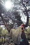 resort kolekcija brenda Antonio Marras