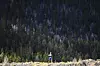 Ultramaratonka Courtney Dauwalter govori o svojoj “pain cave”, unutarnjoj pećini boli, ne kao o prostoru mučenja, nego kao o prostoru istraživanja