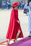 TIM ROOKE/SHUTTERSTOCK