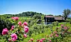 Pogled na imanje Rose Hip Hill