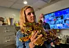 Mariana van Zeller in Allure's office holding a golden tiger statue. (Credit: National Geographic)
